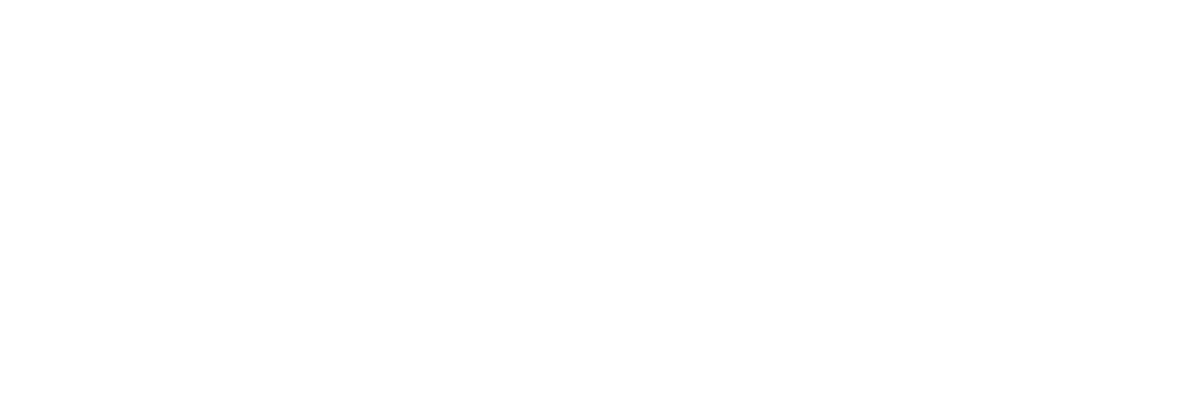 Serhii_Sbitniev_logo_white